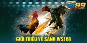 WS168 đá gà ảnh đại diện